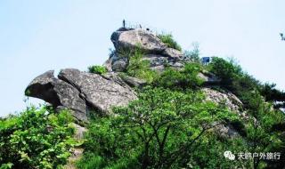 关于过路费收取问题,进高速时还没到免过路费时间,但是出高速时是免费期间,过路费怎么收取 5.1高速免过路费几天