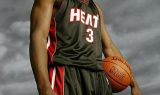 全明星詹姆斯队队员 全明星詹姆斯队队员